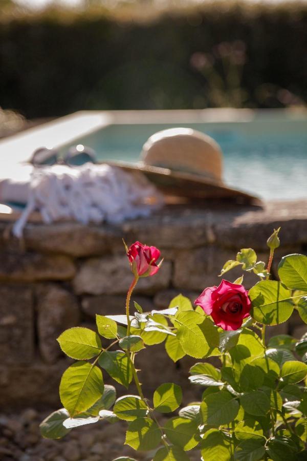 Bed and Breakfast La Figue Noire Caromb Exterior foto